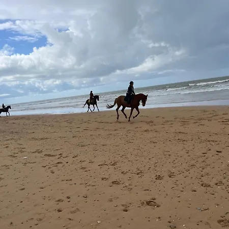 Les Tonnelles 1 à 800m De La Et 500m De La Forêt Saint-Jean-de-Monts