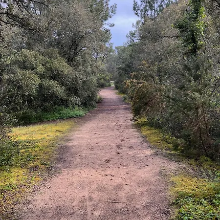 Les Tonnelles 1 à 800m De La Et 500m De La Forêt Villa *