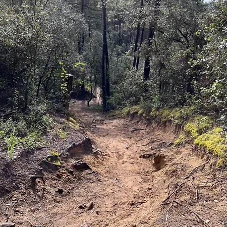 Les Tonnelles 1 A 800m De La Et 500m De La Foret Villa