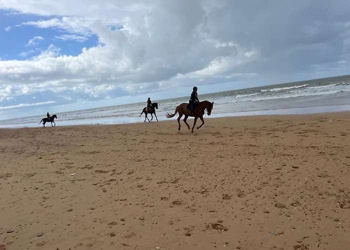 Les Tonnelles 1 A 800m De La Et 500m De La Foret Saint-Jean-de-Monts