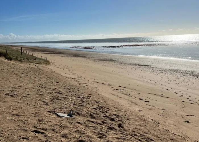 Les Tonnelles 1 A 800m De La Et 500m De La Foret Saint-Jean-de-Monts