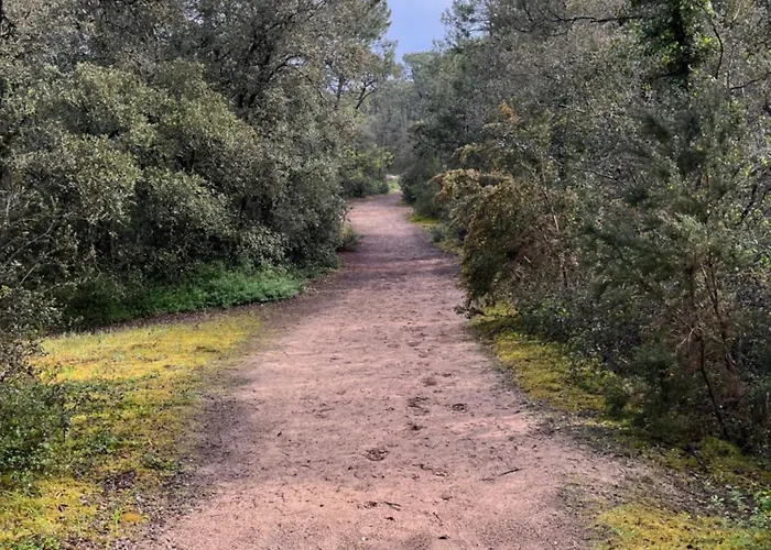 Les Tonnelles 1 A 800m De La Et 500m De La Foret Villa *