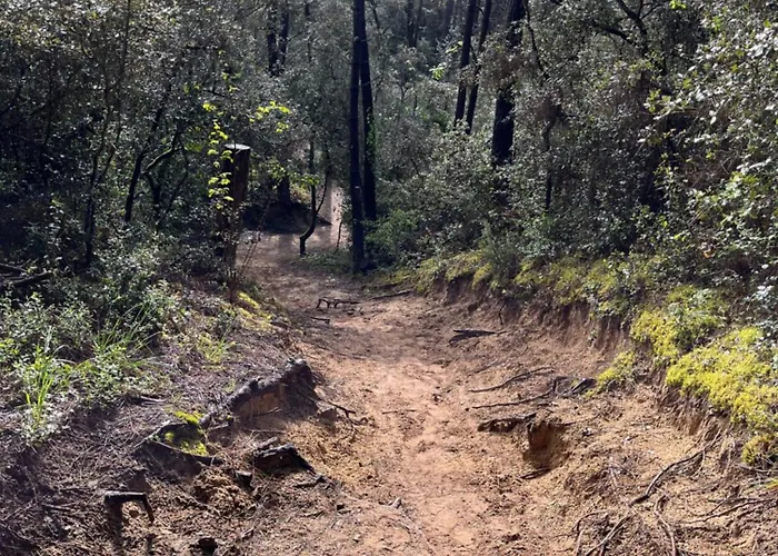 Les Tonnelles 1 A 800m De La Et 500m De La Foret Vila